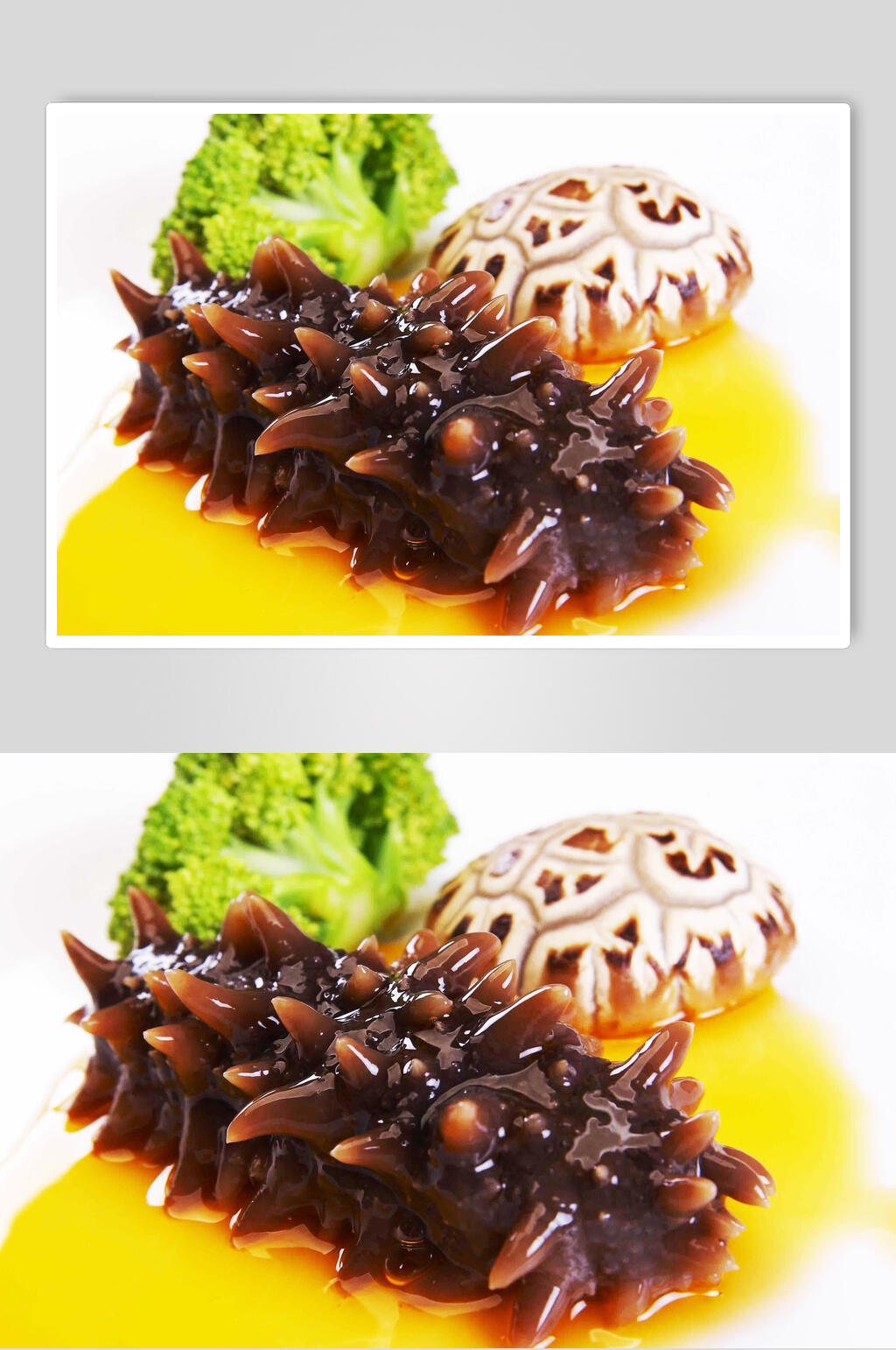 新鲜美味海参摄影图素材