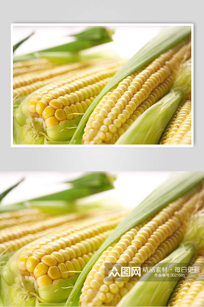 新鲜玉米蔬菜水果食品摄影图片素材