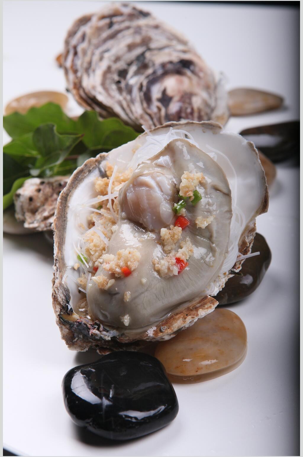 新鲜海鲜食品牡蛎摄影图素材