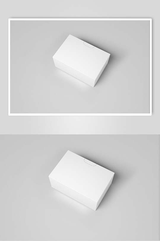白色纸盒样机