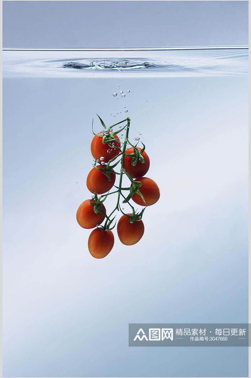 西红柿圣女果蔬菜水果图片素材