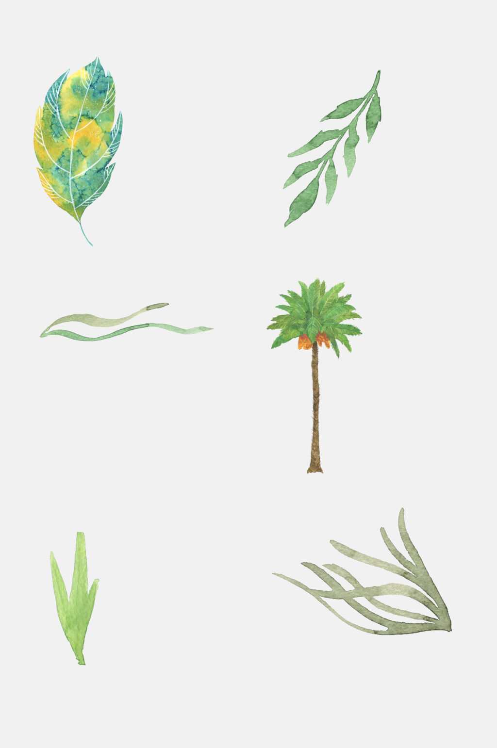 绿色树木花卉叶子植物免抠素材素材