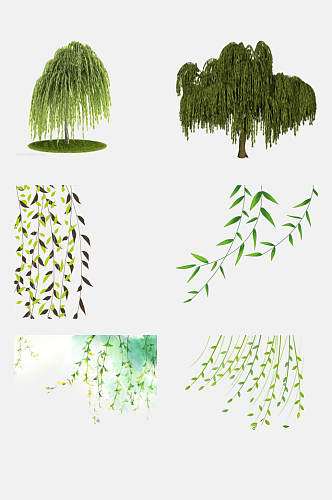 绿色柳树枝条植物免抠素材