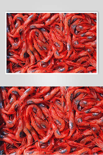 红虾基围虾餐饮摄影图