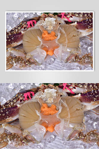 冰镇食品面包蟹摄影图