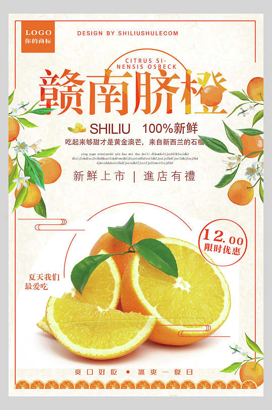 赣南脐橙食品水果店超市广告促销海报
