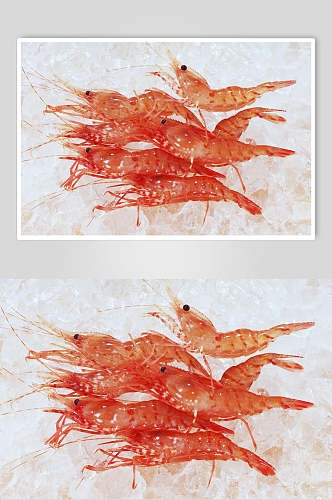 冰镇海鲜基围虾摄影图