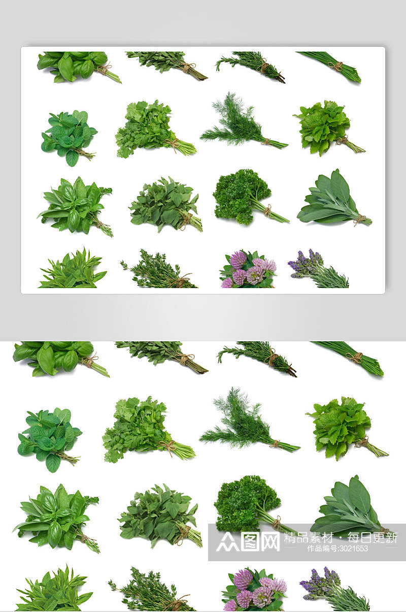 绿色配菜蔬菜水果食物图片素材