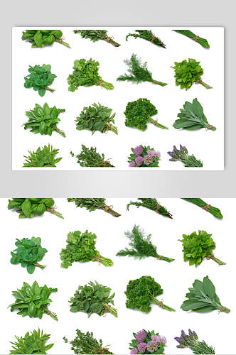 绿色配菜蔬菜水果食物图片
