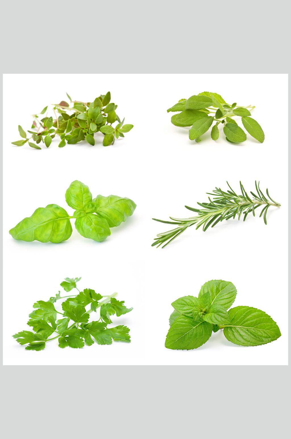 清新简洁蔬菜水果图片素材