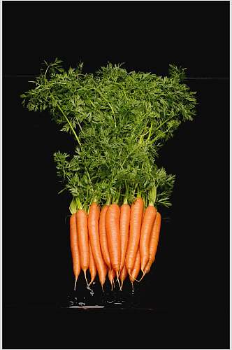 新鲜胡萝卜蔬菜水果图片