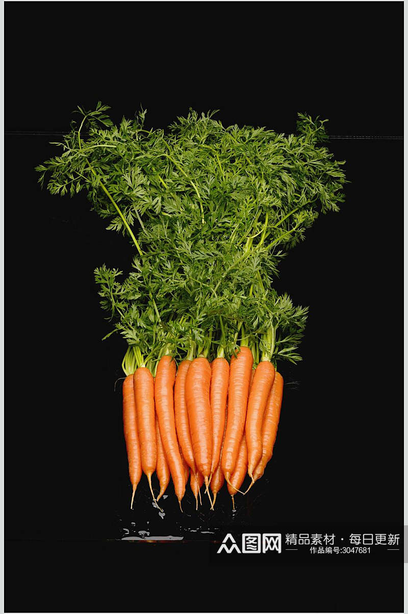 新鲜胡萝卜蔬菜水果图片素材