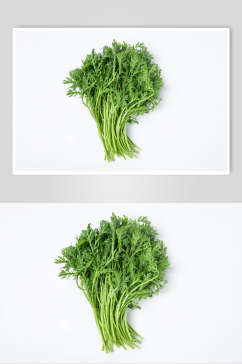 新鲜茼蒿蔬菜图片