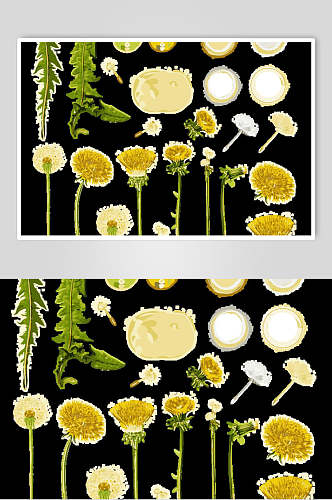 植物动物花卉纹样矢量素材