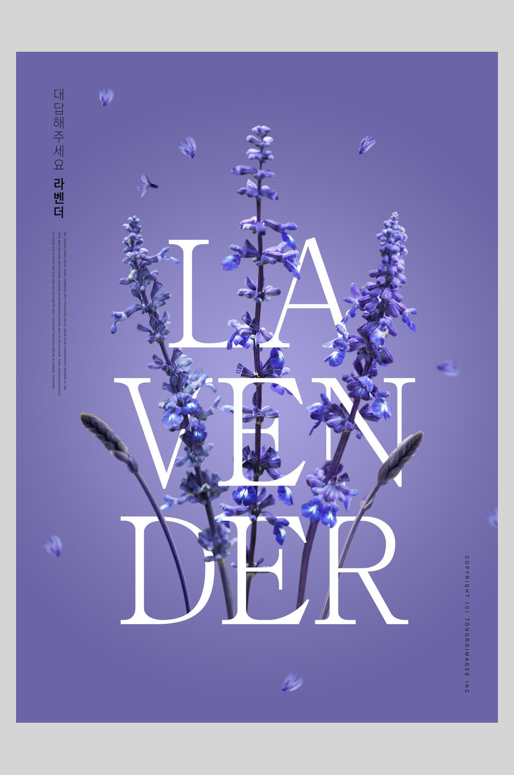 时尚紫色清新花卉海报素材