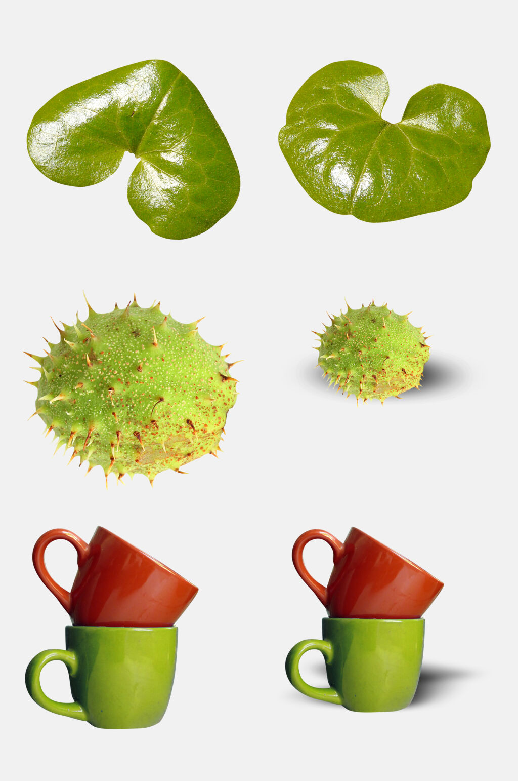 清新绿色动植物家居用品免抠素材素材