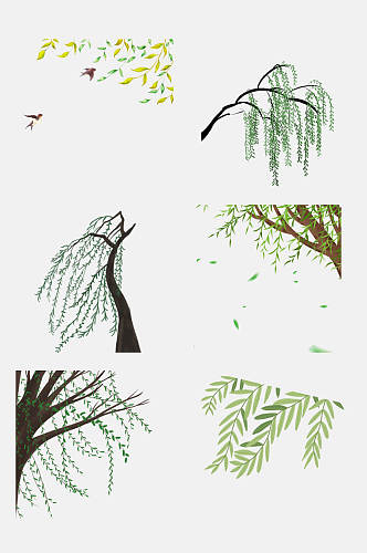 时尚柳树枝条植物免抠设计素材