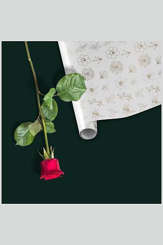 玫瑰花叶子卷纸印画绿色包装纸样机