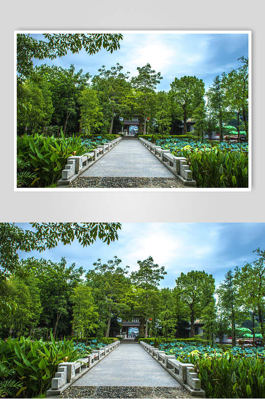 清新森系中国风古建筑石板路背景摄影图