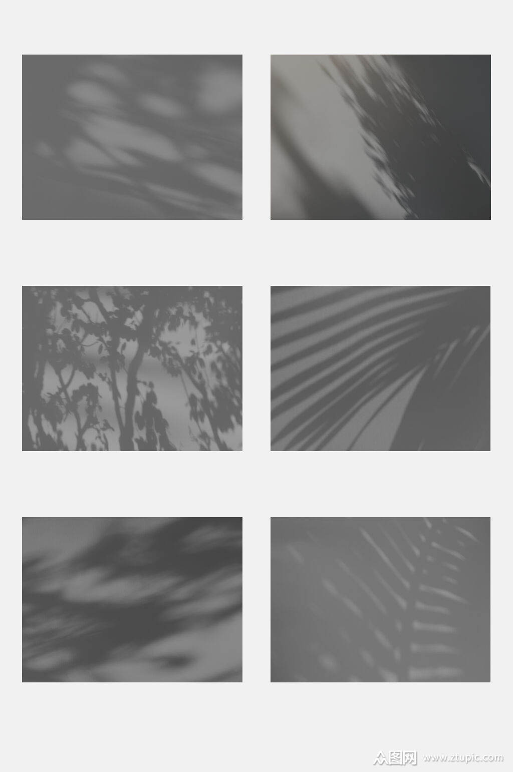 创意植物阴影免抠素材素材