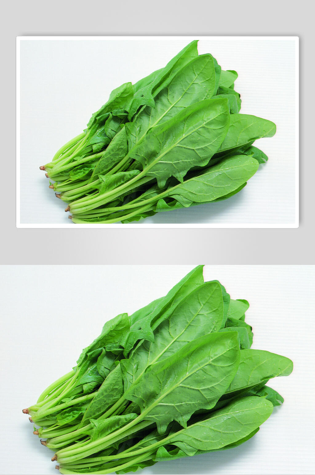 菠菜蔬菜水果食物图片素材