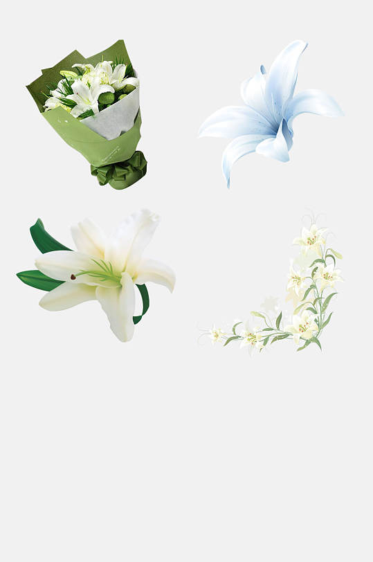 百合花花朵免抠素材