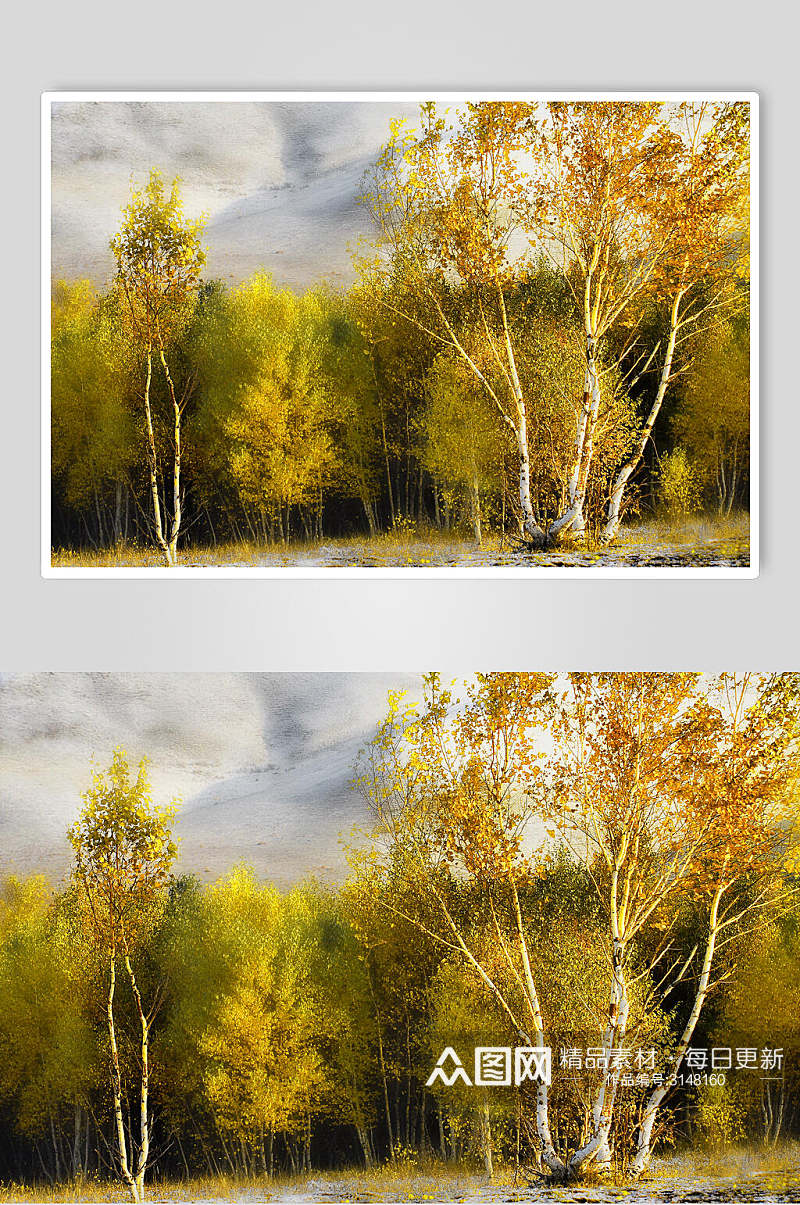 森林乌兰布统风景图片素材