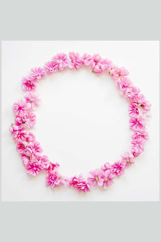 创意粉色圆形花卉花语花朵高清图片