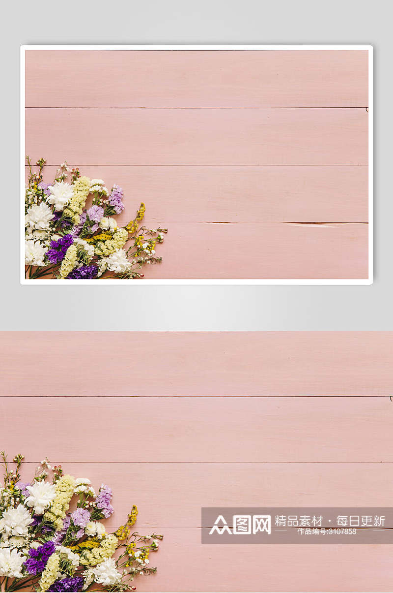 简洁粉色花语花朵高清图片素材