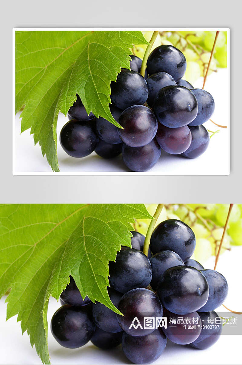 精品高清新鲜水果葡萄图片素材