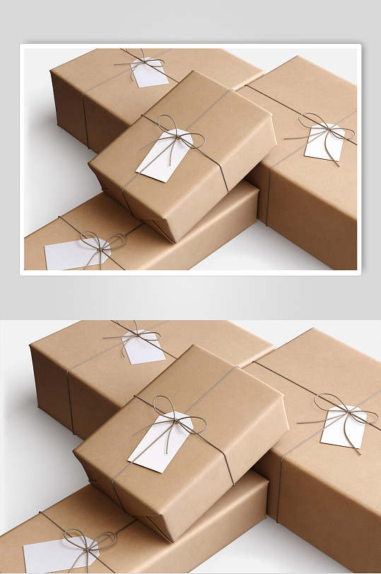 简洁别致牛皮纸礼品包装袋样机