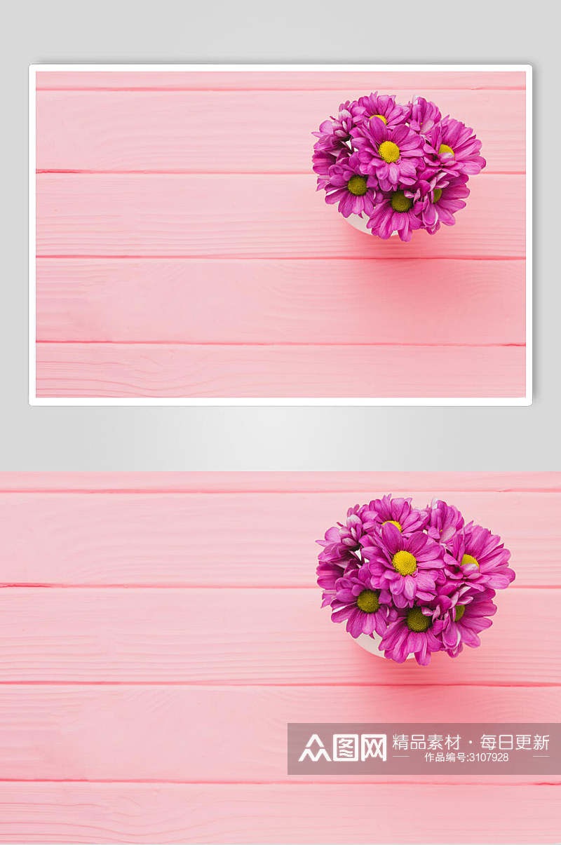 粉色花语花朵高清摄影图片素材