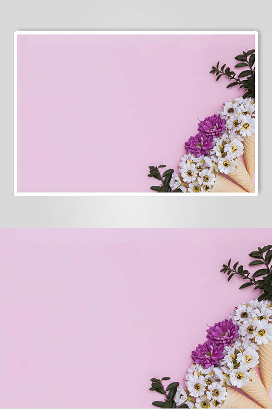 清新简洁紫色花语花朵高清图片