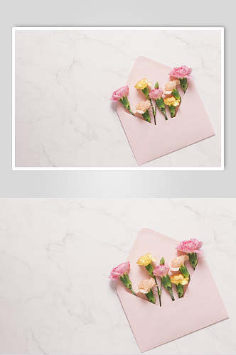 简洁粉色花语花朵高清图片