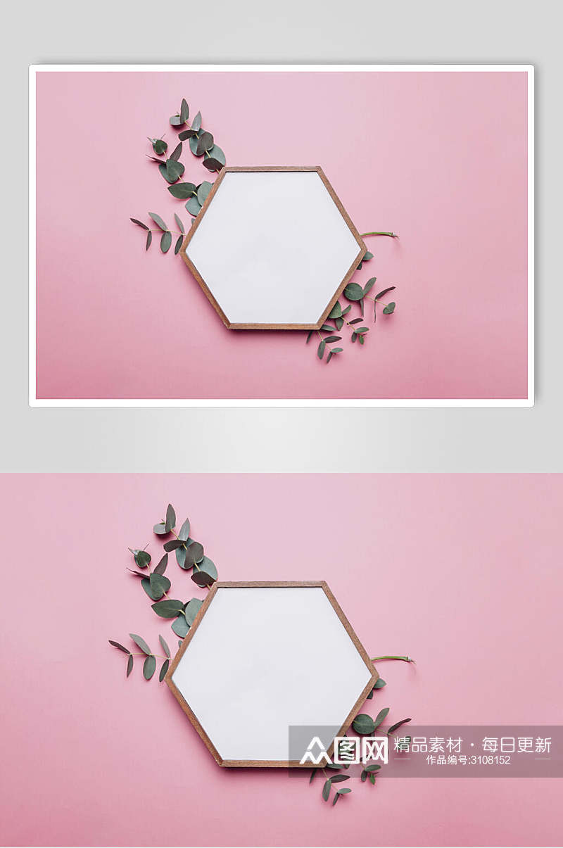 菱形相框花语花朵高清图片素材