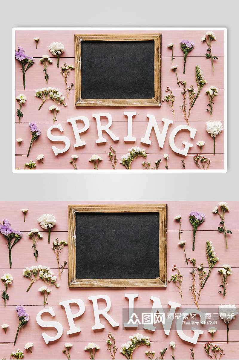 粉色花语花朵高清图片素材