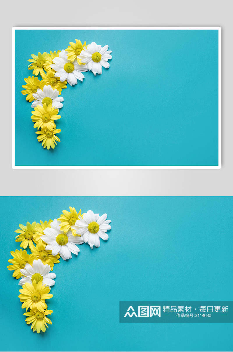 淡雅唯美花语花朵高清图片素材