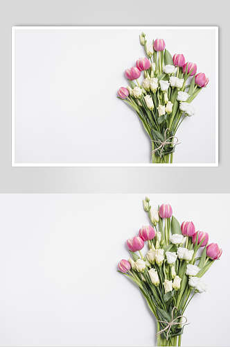 花束花语花朵高清摄影图片