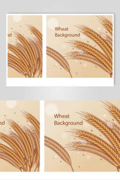 英文大气麦穗稻谷矢量素材