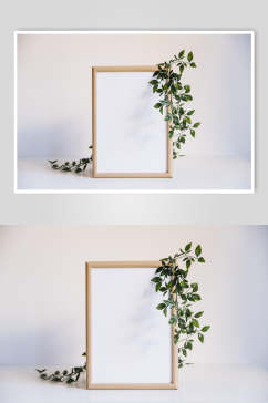 简约植物相框花语花朵高清图片