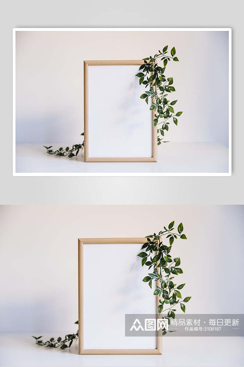 简约植物相框花语花朵高清图片素材