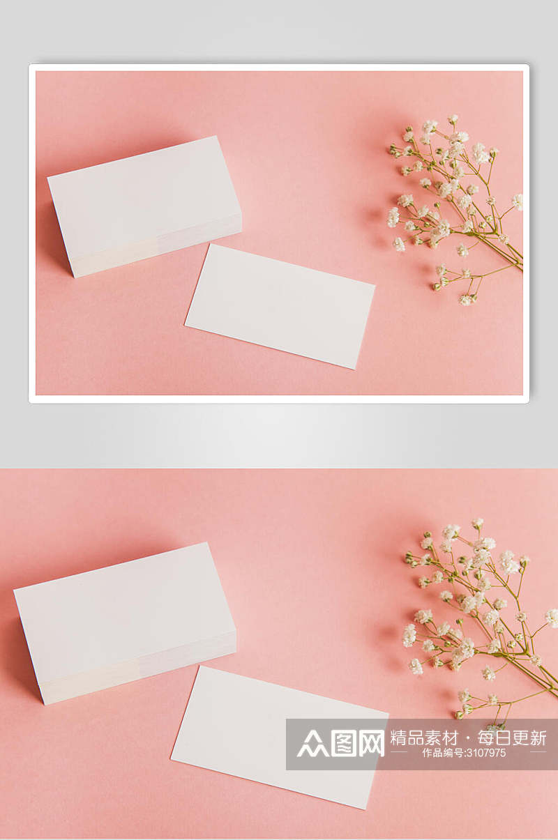 粉色卡片花语花朵高清图片素材