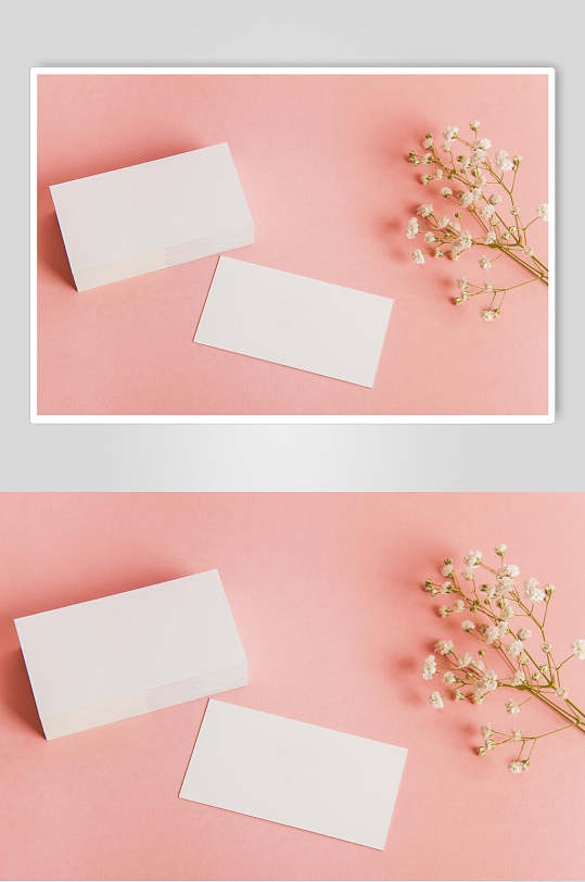 粉色卡片花语花朵高清图片
