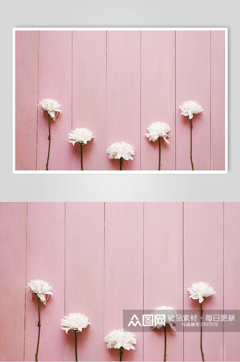 粉色文艺花语花朵高清图片素材