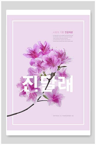 紫色时尚鲜花海报