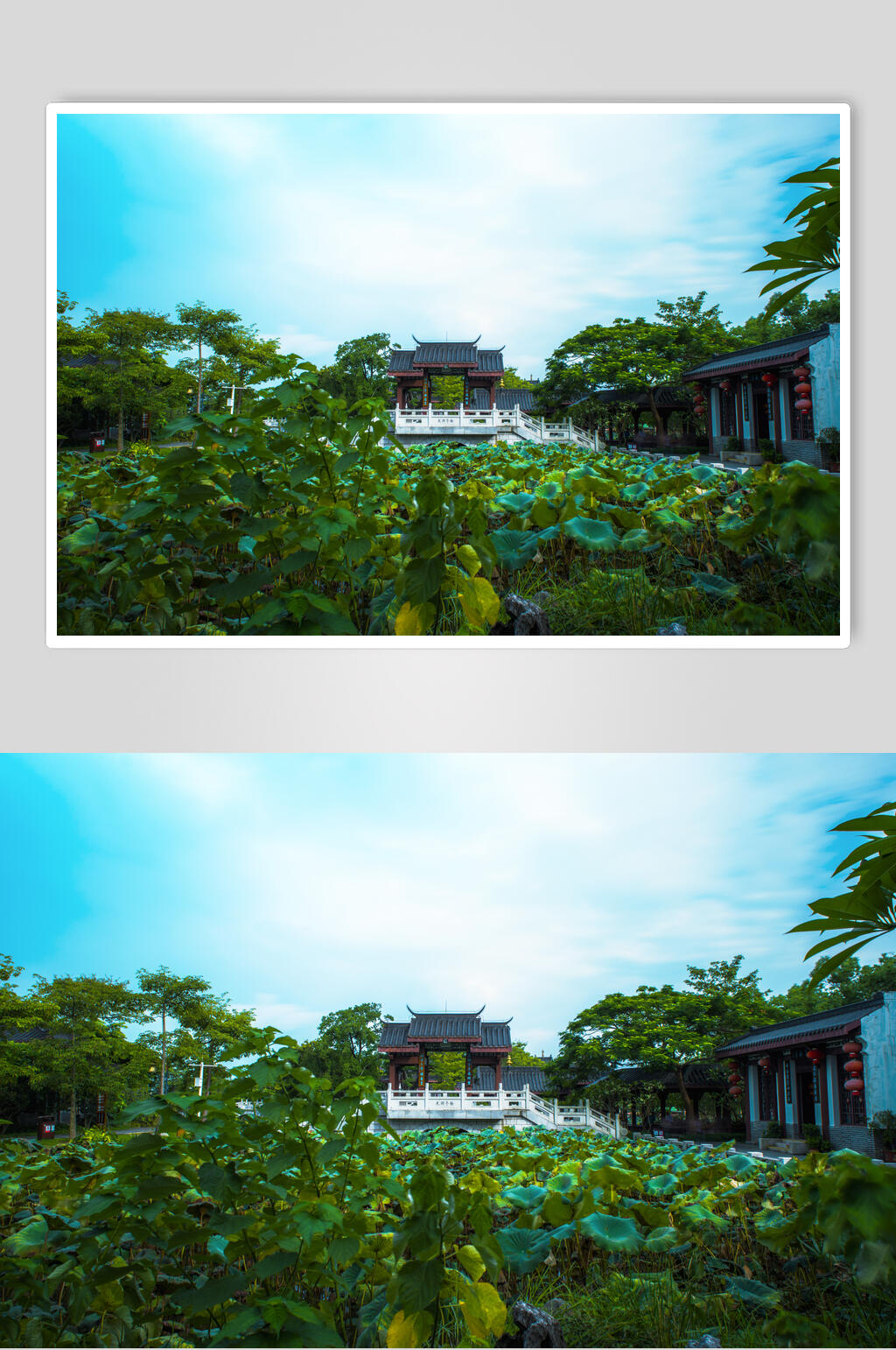 中国风古建筑荷花塘背景图片素材