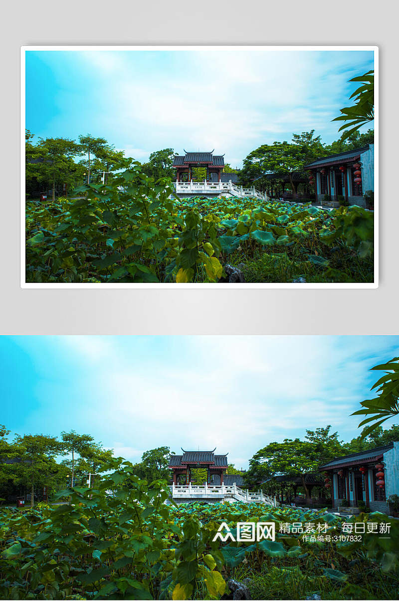中国风古建筑荷花塘背景图片素材
