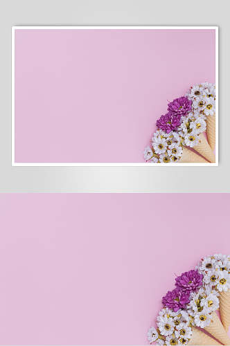 清新紫色花语花朵高清图片