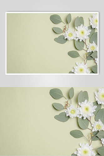 清新淡雅绿色花语花朵高清图片