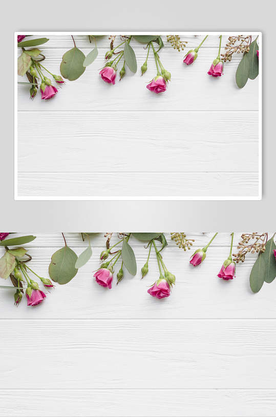 清新简洁花卉花语花朵高清图片